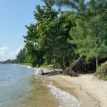 8 AC Beach Front