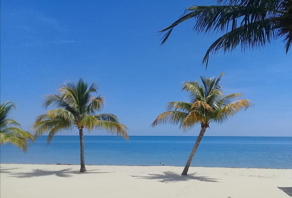 Placencia Placencia Belize Real Estate Placencia Belize Real Estate