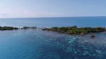 South Saddle Caye Placencia Belize